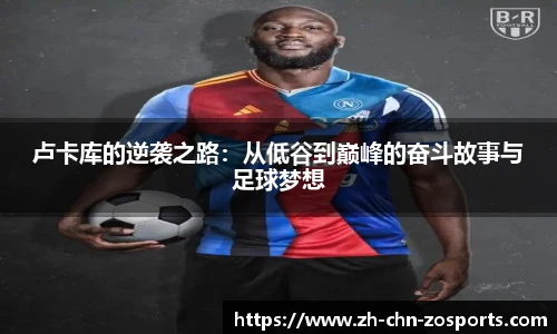 中欧体育官方网站