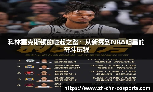 中欧体育官方网站